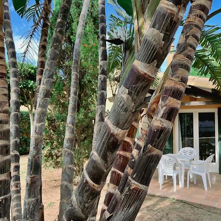 Bungalow Tropical Nº6 - Son Xoriguer Apartment Bagian luar foto